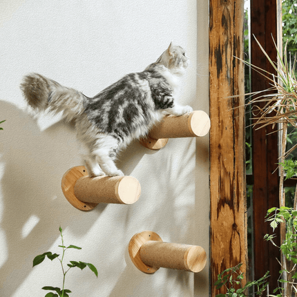 Krabpaal Kat - Modulaire Wandklimmeubels | Katspullen