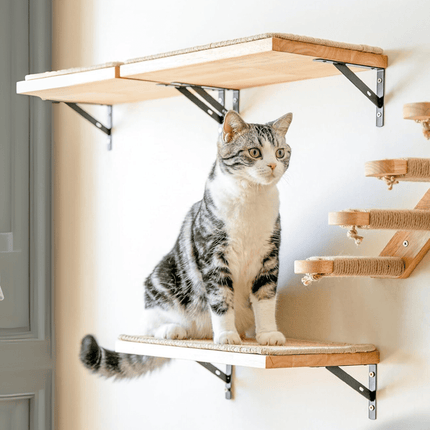 Krabpaal Kat - Modulaire Wandklimmeubels | Katspullen