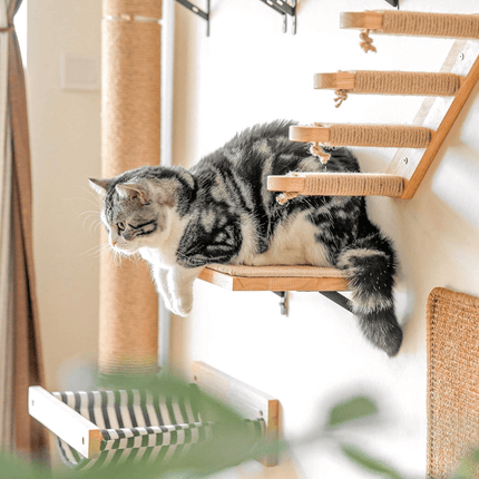 Krabpaal Kat - Modulaire Wandklimmeubels | Katspullen