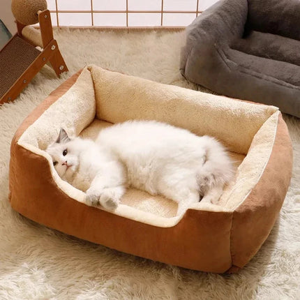 Verwarmde Kattenmand | Katspullen