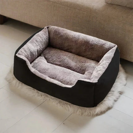 Verwarmde Kattenmand | Katspullen