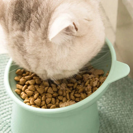 Voerbak Katten Keramiek | Katspullen