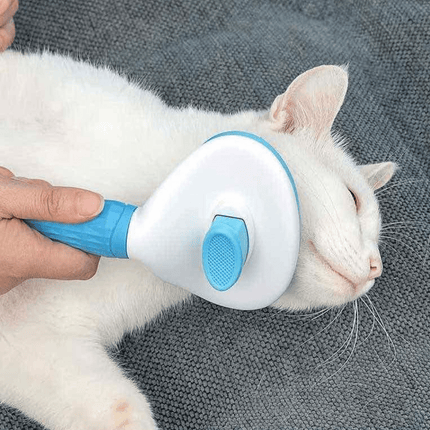 Zelfreinigende Kattenborstel | Katspullen