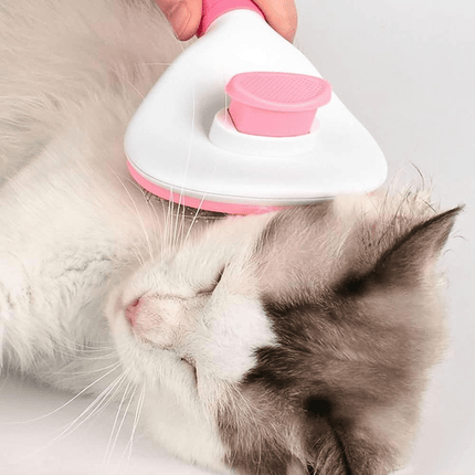 Zelfreinigende Kattenborstel | Katspullen